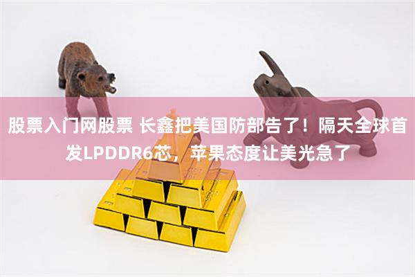 股票入门网股票 长鑫把美国防部告了！隔天全球首发LPDDR6芯，苹果态度让美光急了